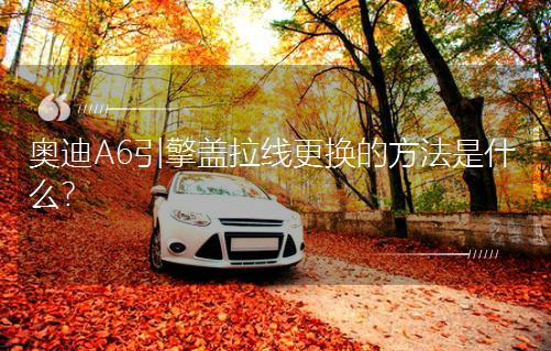 WA6wQķʲô