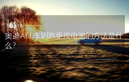 WA6L܇耳׸Q늳صķʲô